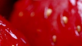 Fresas
