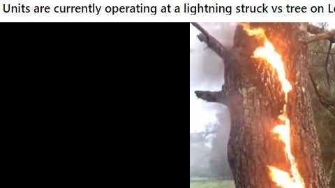 Escalofriante escena