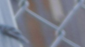 USCIS quiera ampliar su plantilla en 500 personas antes de diciembre de 2019.