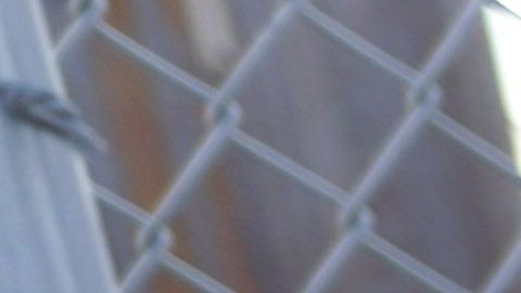 USCIS quiera ampliar su plantilla en 500 personas antes de diciembre de 2019.