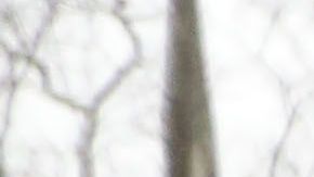 Emma Coronel el penúltimo día del juicio contra "El Chapo" en la Corte Federal de Brooklyn.