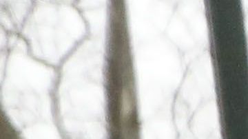 Emma Coronel el penúltimo día del juicio contra "El Chapo" en la Corte Federal de Brooklyn.