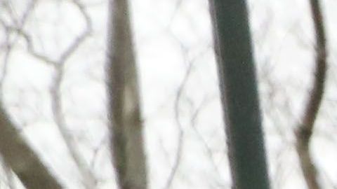 Emma Coronel el penúltimo día del juicio contra "El Chapo" en la Corte Federal de Brooklyn.