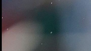 Chicharito habló de un tema polémico.