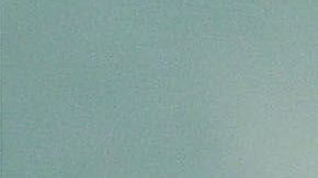 Todo empezó en 2007 cuando un joven indocumentado le pidió que lo adoptara