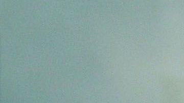 Todo empezó en 2007 cuando un joven indocumentado le pidió que lo adoptara