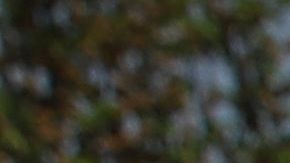 Los resultados del Censo, ayudan a saber el número de legisladores que cada estado tendrá en el Congreso. / foto: getty.