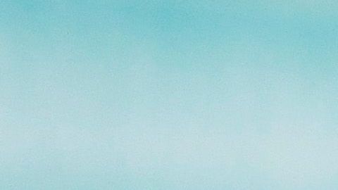 La foto del técnico con la indumentaria del Leeds se ha hecho viral