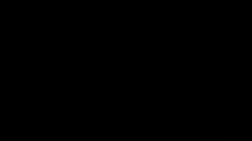 Este año TikTok se ha convertido en la app más descargada en el planeta.