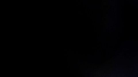 McGregor celebra su regreso al