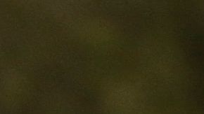 En el estado Washington un empleado de USCIS fue detectado con el virus