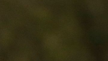 En el estado Washington un empleado de USCIS fue detectado con el virus