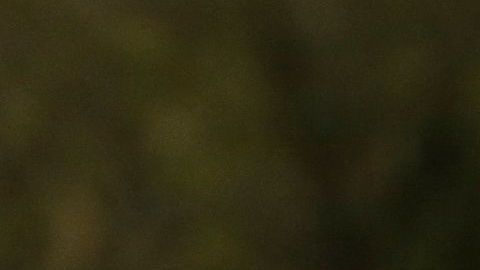 En el estado Washington un empleado de USCIS fue detectado con el virus