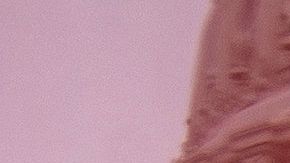 El Senado y la Casa Blanca aprobaron el acuerdo sobre ayuda económica por el coronavirus.