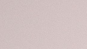 El presidente Trump es el primero en declarar a los 50 estados en desastre mayor.