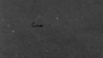 Los hermanos Chang y Eng Bunker