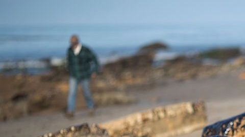 Los derrames de petróleo contaminan el medio ambiente. Getty Images
