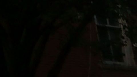 NYPD busca a la agresora