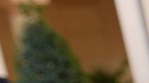 GOYA donación alimentos COVID-19 coronavirus mascarillas