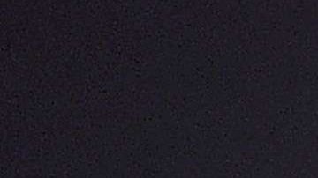 Tom ofreció sus mejores deseos a los enamorados.