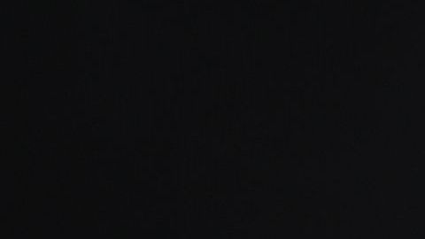 La cantante Sia en concierto.