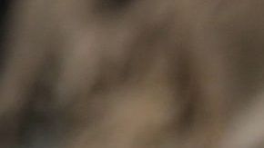 Horóscopo, Astrología