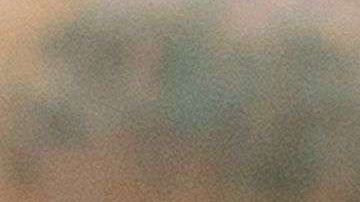 Solo el 2.4% de los trabajadores latinos se dedica a labores agrícolas./Archivo