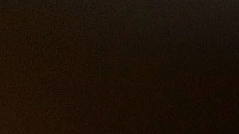 Ayuda económica coronavirus COVID-19 dinero cheque estudiantes adultos mayores dependientes discapacitados