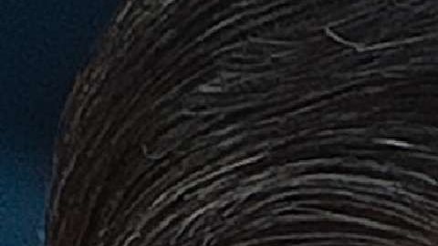 Donald Trump y Xi Jinping se reunieron durante la cumbre del G20 en Osaka, Japón.