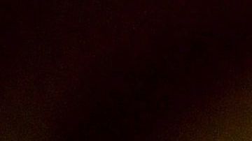 La pareja real siempre se distingue por su complicidad y apoyo mutuo.