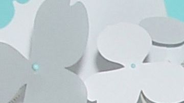 kendall jenner corvette