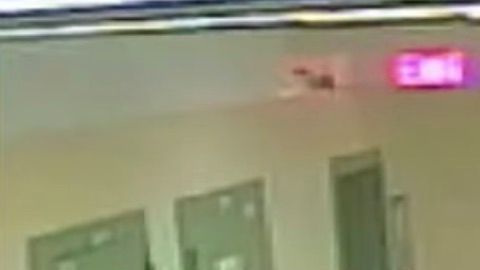 Imagen de la cámara de videovigilancia del Correccional de Miami-Dade.