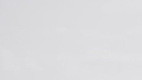 La grabación se logró en las playas mexicanas de Baja California.