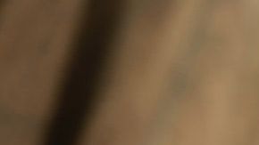 El gatito no dejó de robarse la leche.