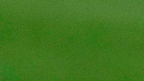 Antoine Griezmann no ha podido integrarse al equipo azulgrana.