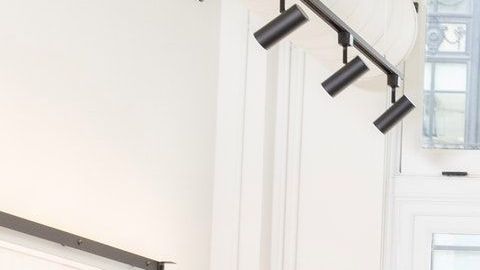 Hay signos que son líderes naturales.