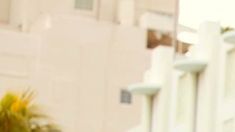 Imagen promocional de "La Casa de las Guayaberas"