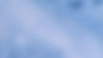 Harry Styles durante la premier de "Dunkirk" en NY