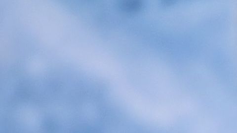 Harry Styles durante la premier de "Dunkirk" en NY