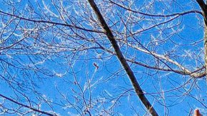 El hombre fue finalmente detenido.