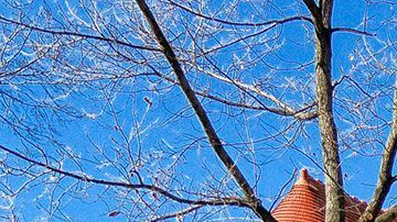 El hombre fue finalmente detenido.