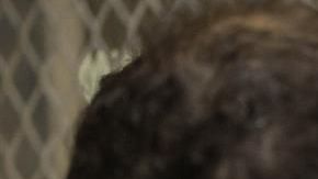 Ambos hermanos cuentan con una orden de extradición a EE.UU.