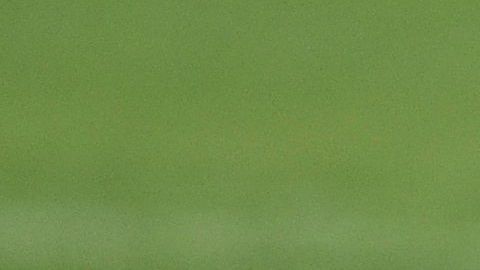 hulk brasil transformacion fisica