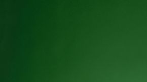 Experts say it is best to make juices out of green leaves.