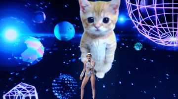 Miley Cyrus compartió el escenario con un gatito que al final sacó la lengua igual que ella.