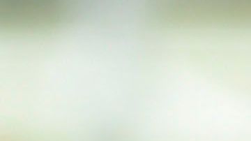 Juan Carlos Osorio se reunió con Rafa Márquez en Guadalajara