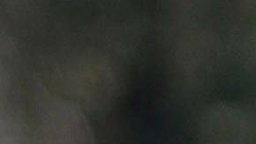 Norma reforzará a Chivas para el Clausura 2020.