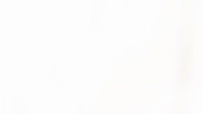 Renato Ibarra intento safarse de la ley con dinero.