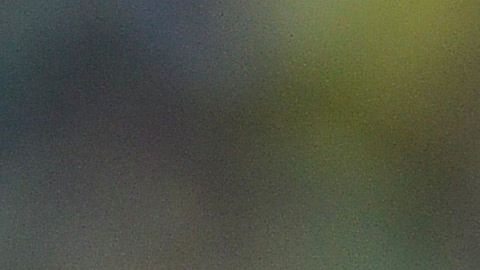 Miguel Herrera es uno de los técnicos más exitosos en la historia del América.