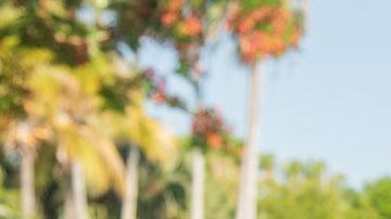 Cala asegura que su programa combinará el periodismo y el entretenimiento positivo.